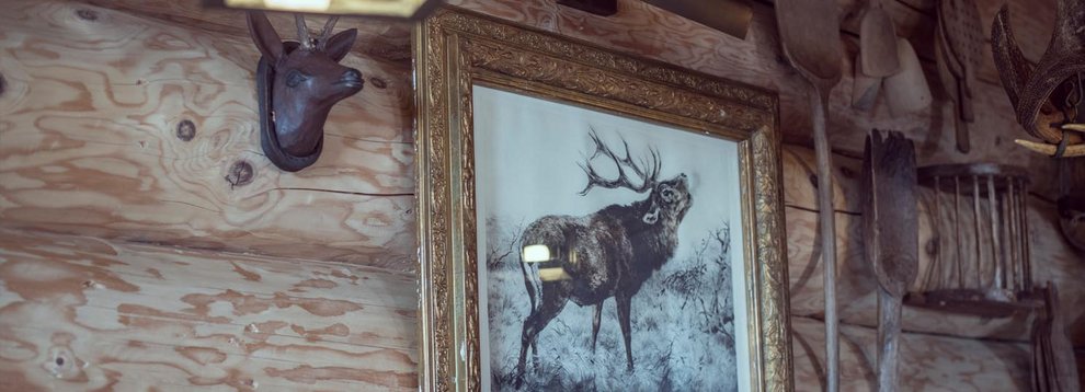 Aar-Wirt Hochfügen Wander- und Skihütte Rustikale Spezialitäten Zillertal